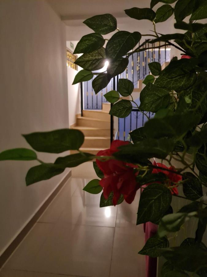Hotel Carolina Del Mar Santa Marta  Kültér fotó
